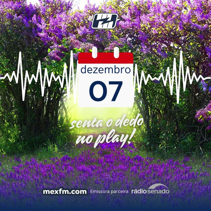 Bom dia (07/Dez/2024)
