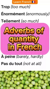 Adverbs of quantity in French ✔️ | Learn French Vocabulary with Moh and Alain #learnfrench