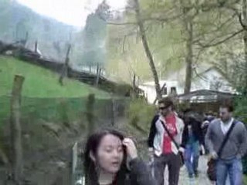 MOV00019