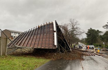 Storm Darragh damage in Bordon