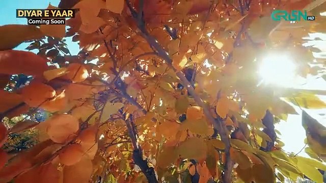 Iqtidar Episode 24 [ENG CC] Anmol Baloch - Ali Raza - 6th December 2024 - Green TV Entertainment