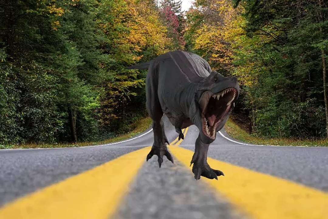 Dinosaur video