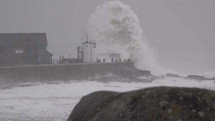 Storm Darragh watchers line harbour as 10-foot waves crash against wall