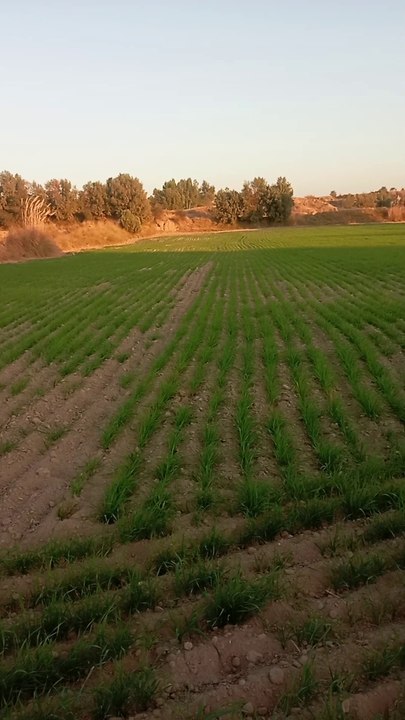 village vlog channel kotsarang tv channel pakistan