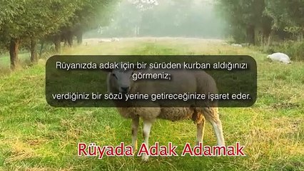 Rüyada Adak Adamak - İhya Rüya Tabirleri