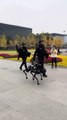 The FUTURE of law enforcement   In China, the streets are now patrolled by ROBOT DOGS   equipped with ca...by armed officers, this high-tech squad is taking urban security to the next level.But let’s ask the big question…  Is t