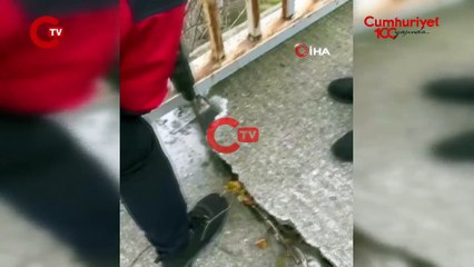 Köprü korkuluğunun altına sıkışan yavru kedi kurtarıldı