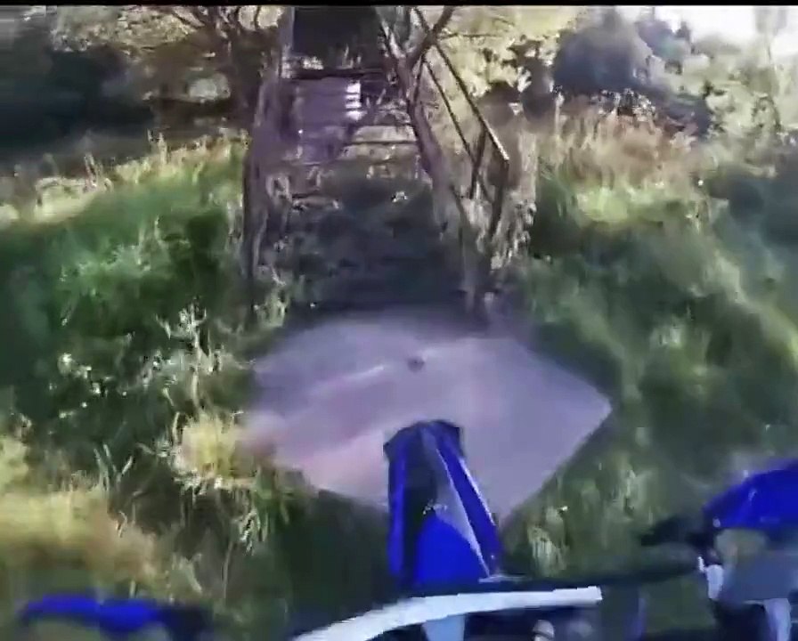 Do Not Park Here Funny 🤣