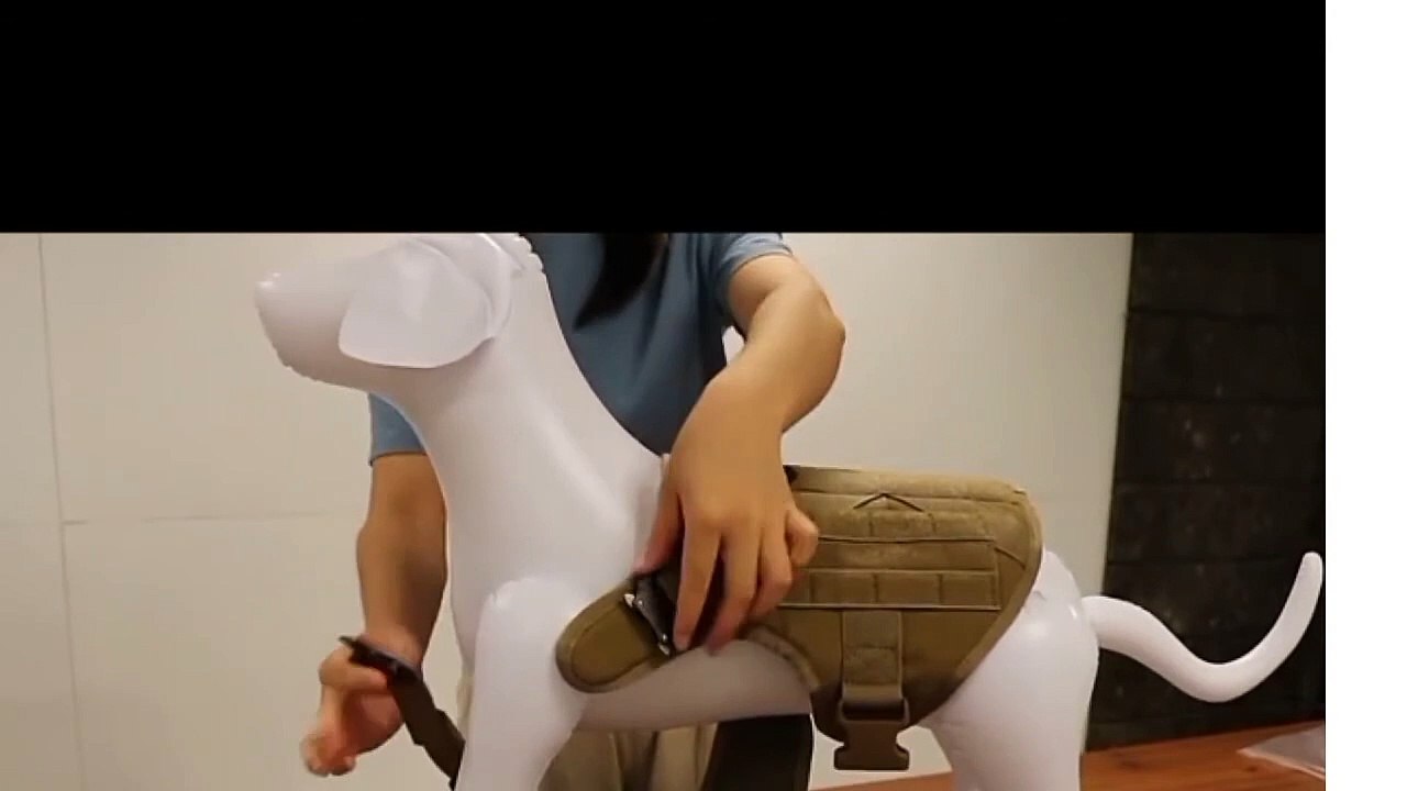 Tactical  Harness German Shepherd