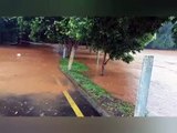 Chuva intensa causa alagamentos e transtornos em Francisco Beltrão