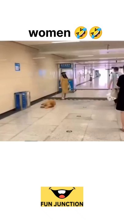 "She Said ‘Walk’… He Heard ‘Zoomies!’"