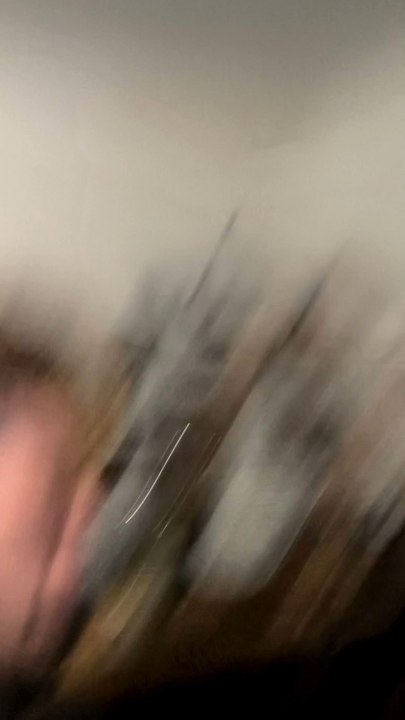 De l'occulture dans... Zootopie ?