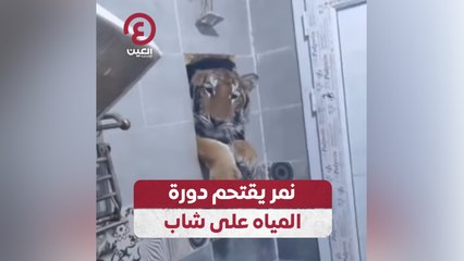 نمر يقتحم دورة المياه على شاب