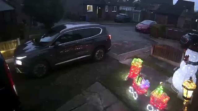 Tree crashes down yards from driver as Storm Darragh hits Doncaster