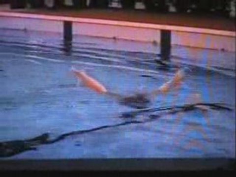 Championnat de France N1 2006 Caillier Angers