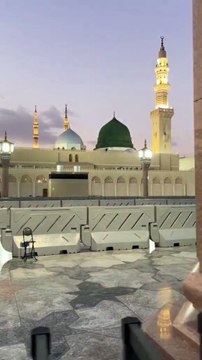 Surat At-Tin (The Fig) | Mishary Rashid Alafasy | مشاري بن راشد العفاسي | سورة التين #shorts #short