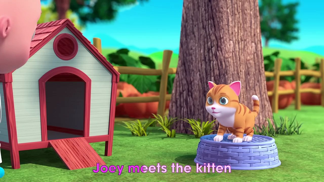 Doctor Joey On The Farm ｜ Farm Animals Song for Kids ｜ Beep Beep Nursery Rhymes (1)