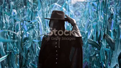 Breve Historia de la Peste Negra: Una Pandemia que Conmocionó al Mundo