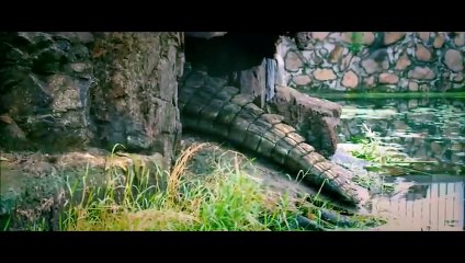 Jurassic Crocodile🐊Action-Comédie🐊Film complet en français