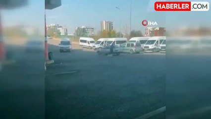 Şanlıurfa'da Köpeğe Eziyet Kamerada Kaydedildi