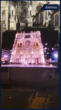 Ils bravent la pluie et le froid pour la réouverture de Notre-Dame