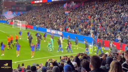 Crystal palace vs Manchester city 2-2 Highlights And All Goals premiership 2024