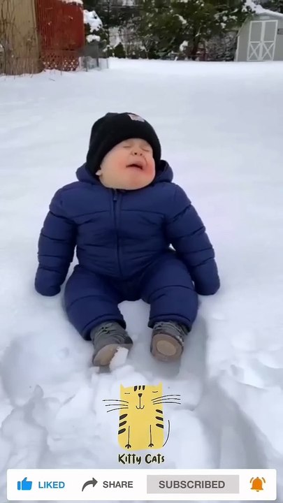 Funny Cat & Cute Kittens169😻 #shorts #kucing #kucinglucu #funny #pet #cat #foryou #viral #viralvideo Funny Cat & Cute Kittens170😻 #shorts #kucing #kucinglucu #funny #pet #cat #foryou #viral #viralvideo