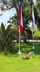 A Gas Station in Santiago, Chile ⛽🇨🇱