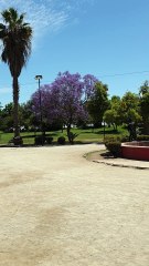 Exploring Parque de Los Reyes, Santiago 🌴🇨🇱