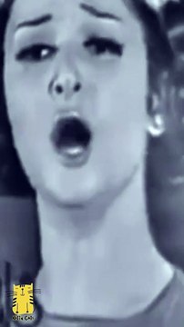 Funny Cat & Cute Kittens170😻 #shorts #kucing #kucinglucu #funny #pet #cat #foryou #viral #viralvideo