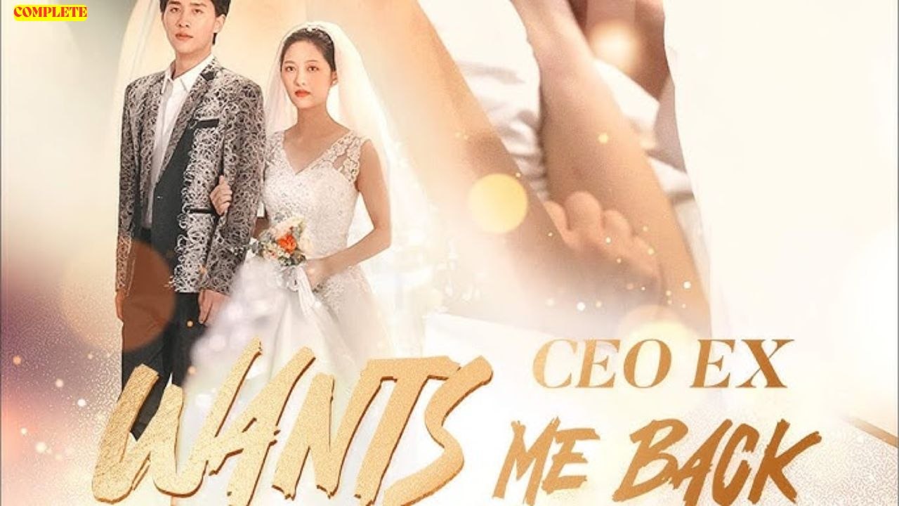 CEO Ex Wants Me Back (Chinese Drama English Subtitles )