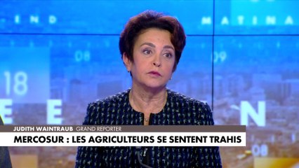 L’accord avec le Mercosur «est un coup de poignard dans le dos», détaille Judith Waintraub