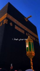 رقت عيناي شوقا ولطيبه زرفت عشقاً تصميم حالات واتس اب انستا اناشيد دينا @ماهر