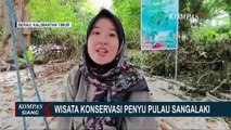 Pulau Sangalaki, Surga Konservasi Penyu dan Pesona Alam yang Memikat