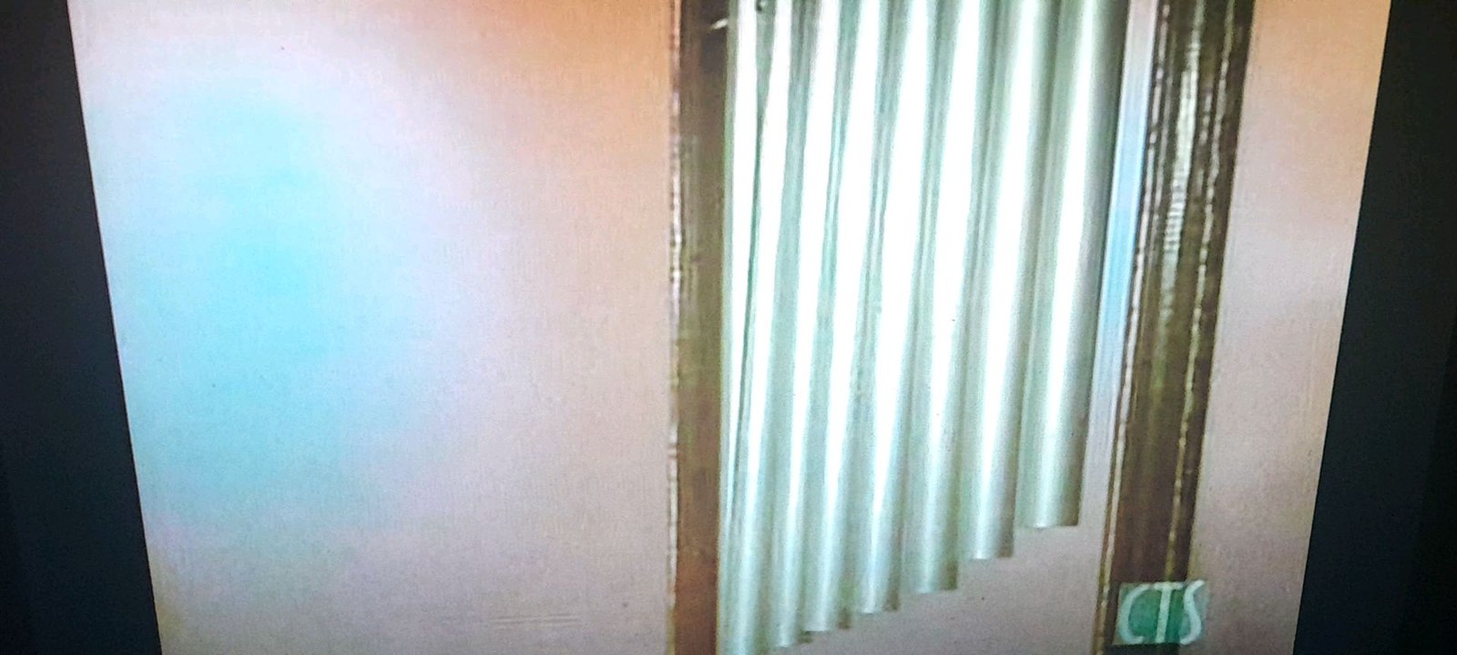The Muppet Chicken Blooper Scene