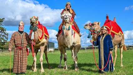 "Our camels are famous and loved by celebs after starring in bonkbuster Rivals"