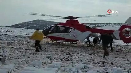 Ayı saldırısına uğrayan eski muhtar kurtarılamadı