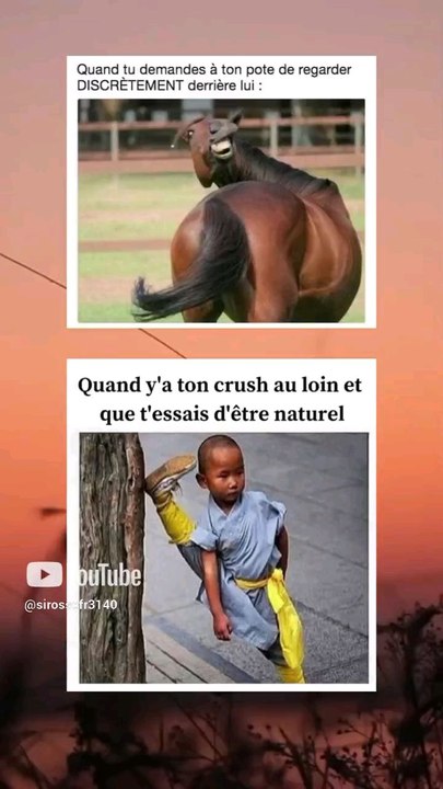 😂😂
