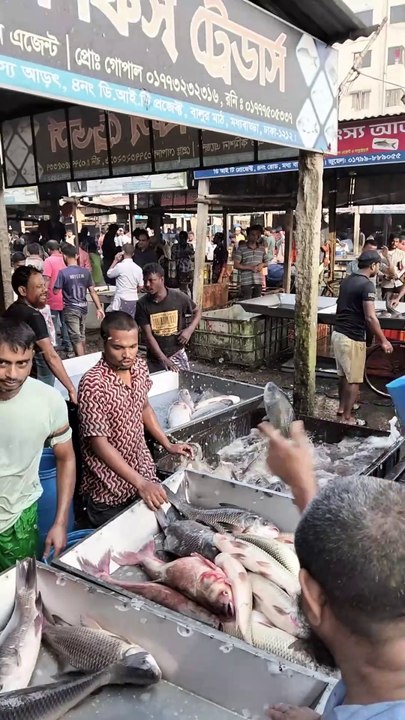 🌅 Morning Time Fish Selling | A Vibrant Market Experience 🎣