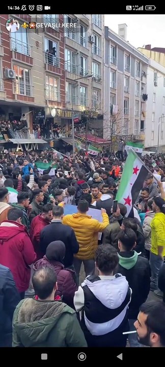 Free Syria