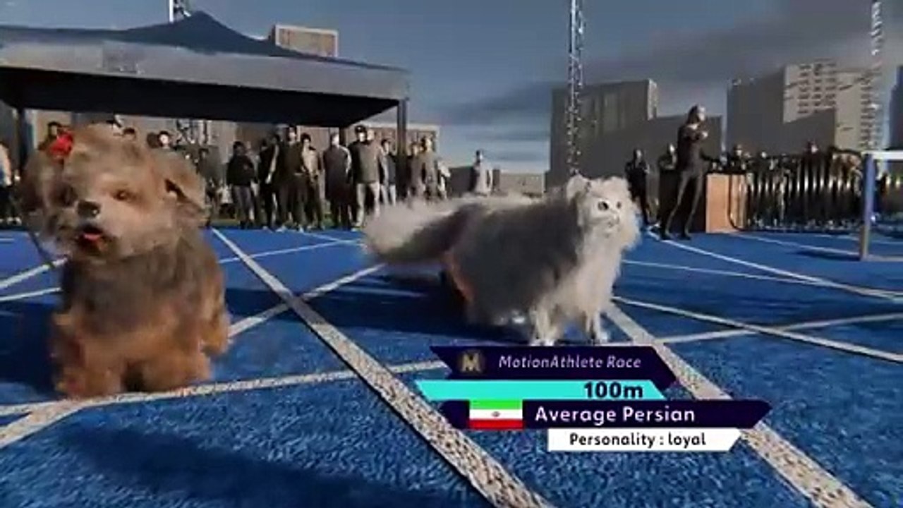 Bolt vs. Guepardo