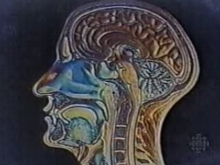 Autoguérison Preuves Scientifique - 1 de 2