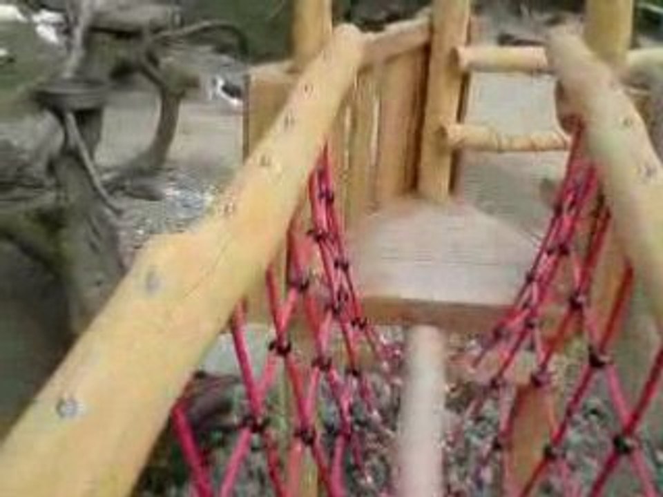 MOV00022