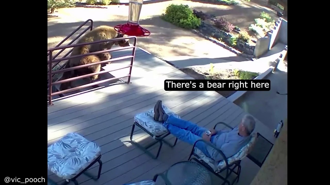 She Ruined The Wedding ops videos on internet