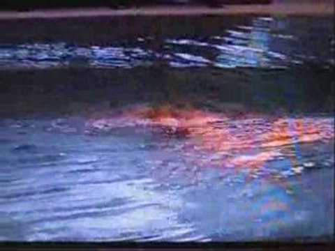 Championnat de France N1 2006 Ciociola J. Lyon