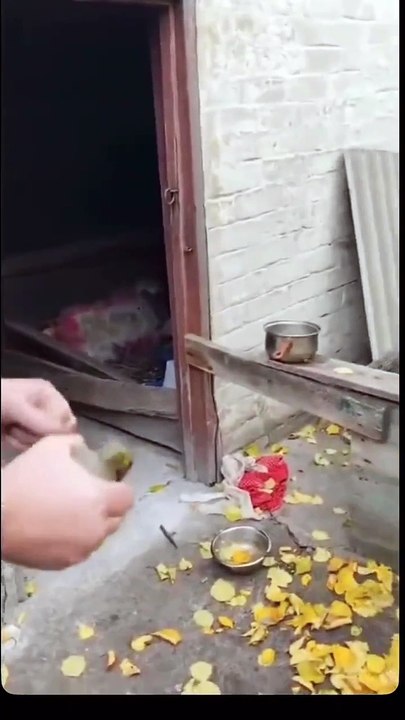 Un pétard dans le puits et booooom