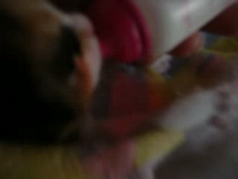 chaton