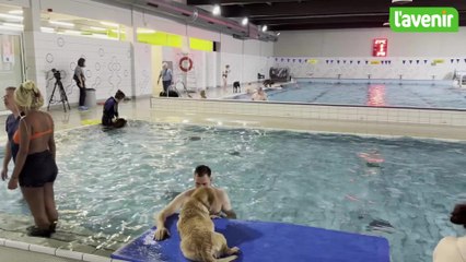 Première édition du CaniPlouf au Nautisport d'Enghien