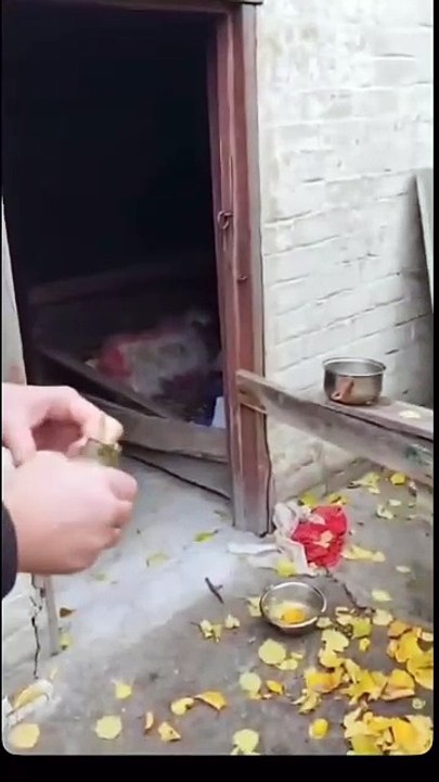 Blowing out the well