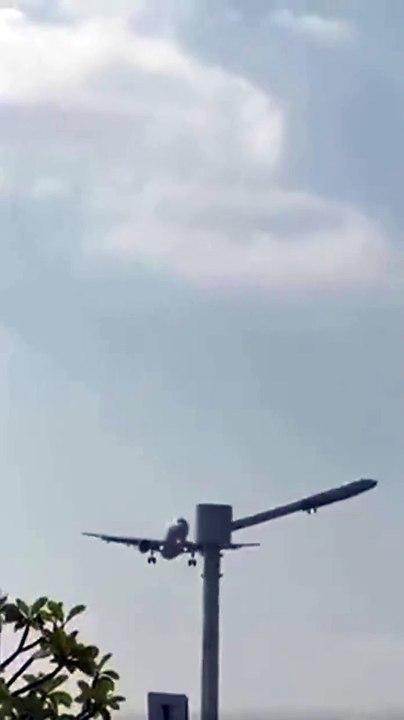 Bird strike to the Plane